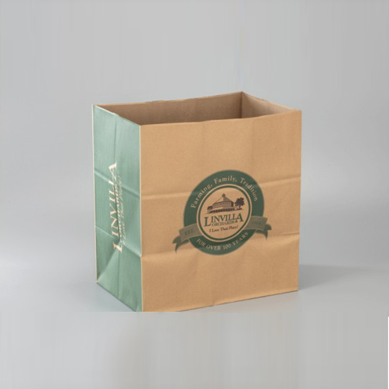 Paper Bag