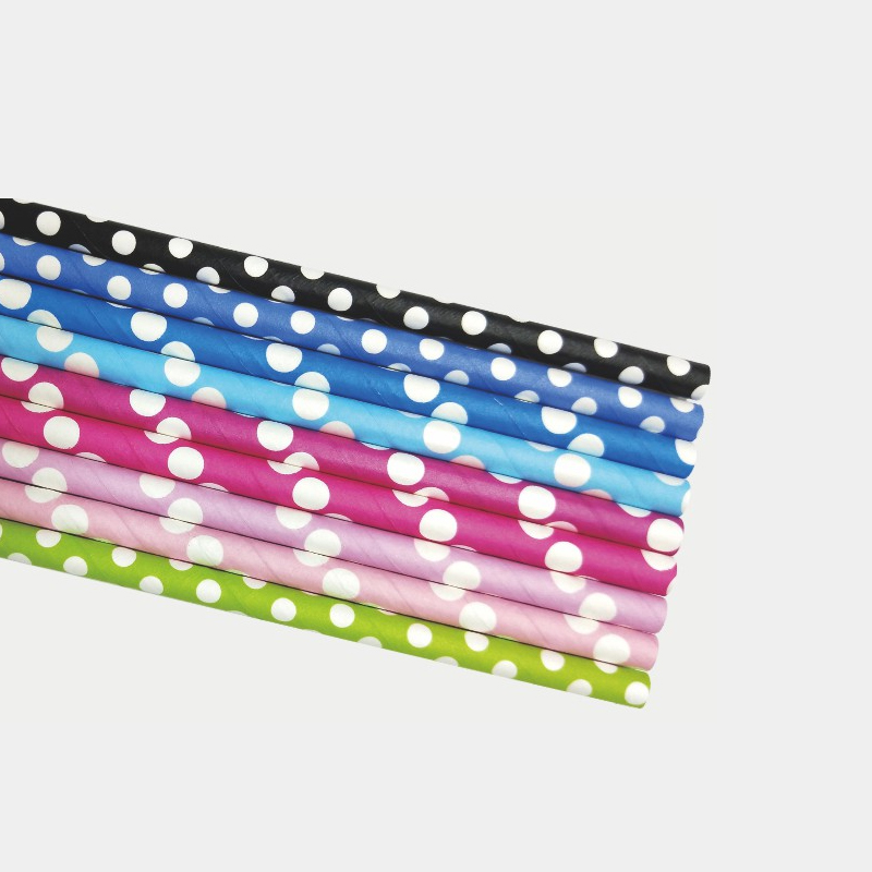 Big Dot Colors Paper Straw